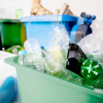 Introduction to the Importance of Recycling