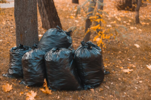 Full garbage bags outdoors